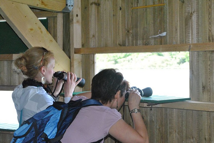 L'ETANG NEUF DE JUVIGNÉ