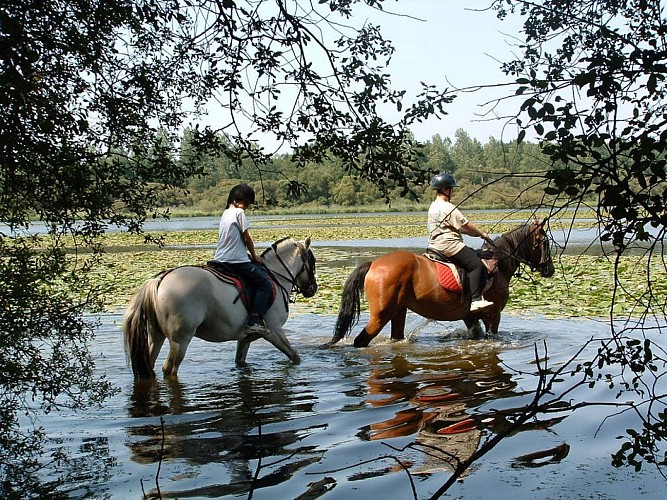 L'ETANG NEUF DE JUVIGNÉ
