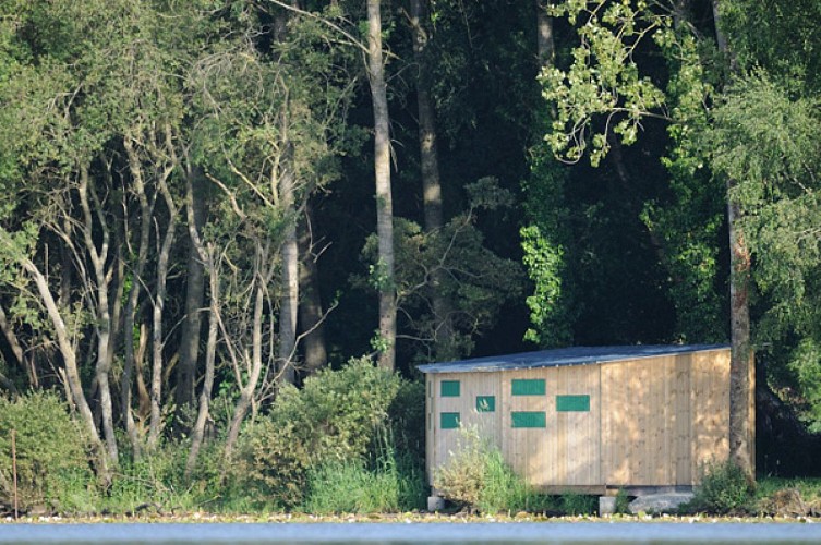 L'ETANG NEUF DE JUVIGNÉ