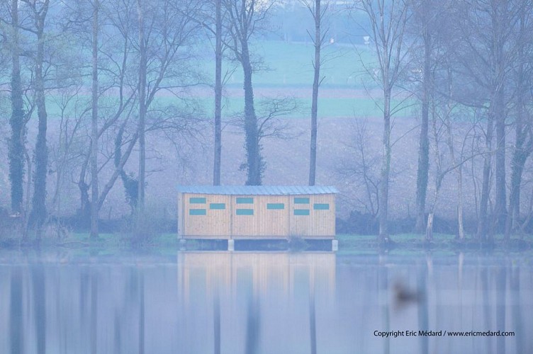 L'ETANG NEUF DE JUVIGNÉ
