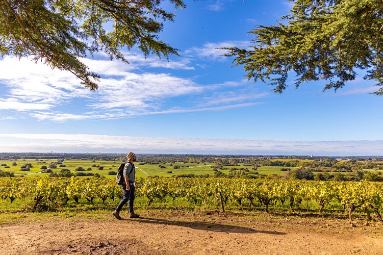 La Butte de la Roche