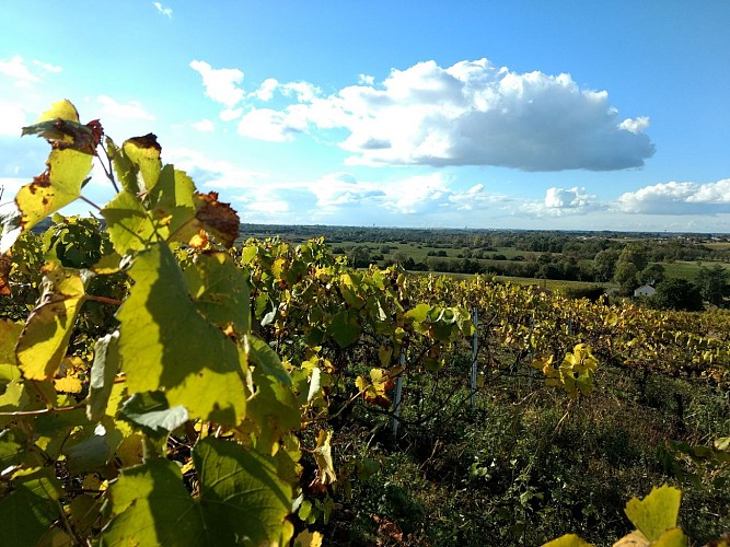 La Butte de la Roche