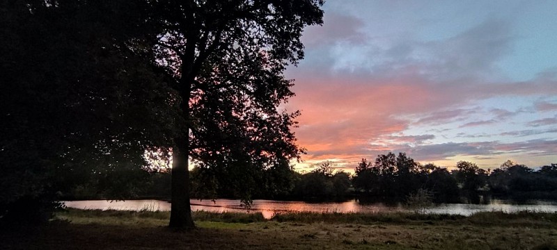 CHAMPAGNAT_ETANG DE LA NAUTE_L. GOUROVITCH 2