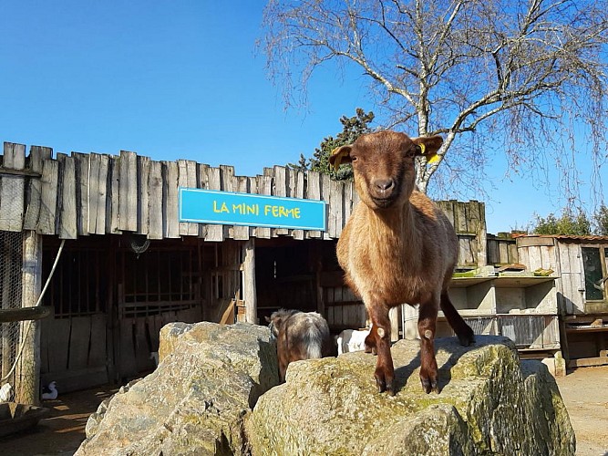 Camping La Grand' Métairie