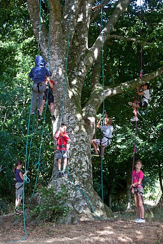 Parcours dans les arbres - Parc de Loisirs de la Colmont
