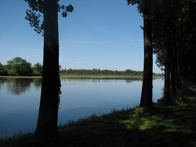 ETANG NEUF DE JUVIGNÉ