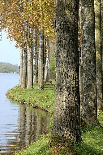 ETANG NEUF DE JUVIGNÉ