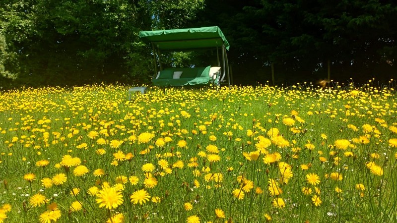 Le Grand Jardin_jardin-Schommelbank en bloemen_09-2025