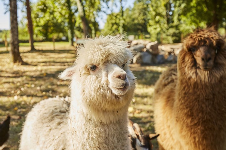 Flower Camping Lac de la Chausselière