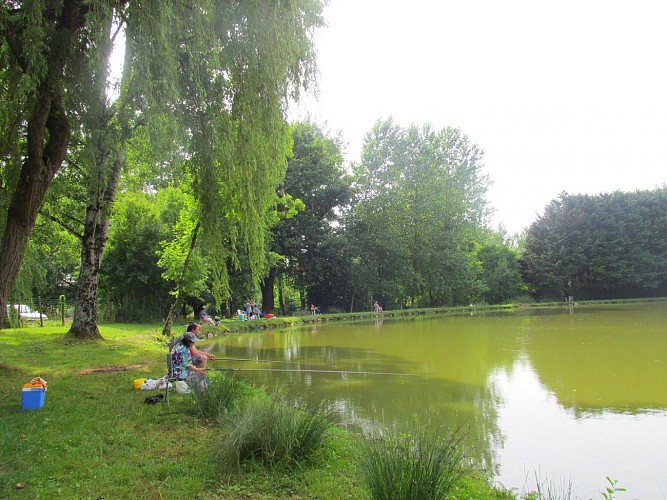 Camping La Jamonière - Les Amis de la Forêt