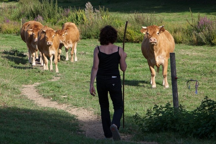 Camping La Maison Neuve