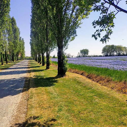 Camping de la Baudonnière