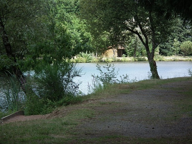 Forêt et étang de la Foucaudière