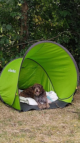 Camping La Clé des Champs