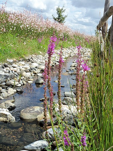 Domaine du Pré - Nature Holiday's