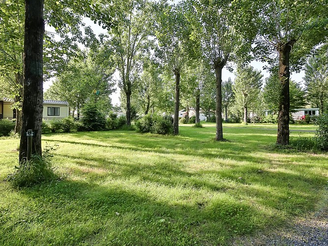 Flower Camping Le Pavillon