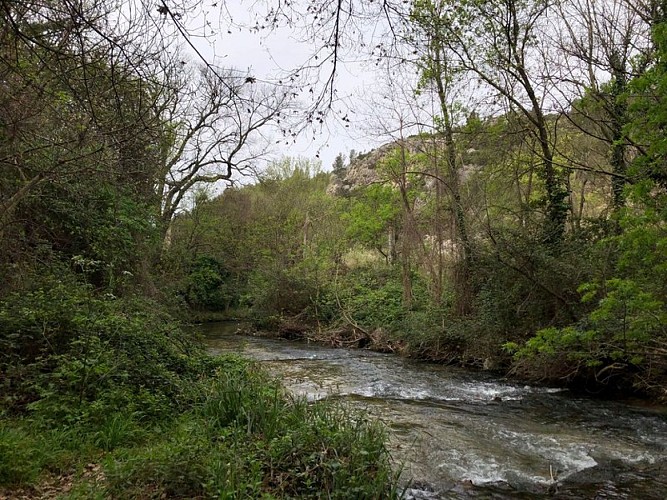 Les berges de l'Huveaune