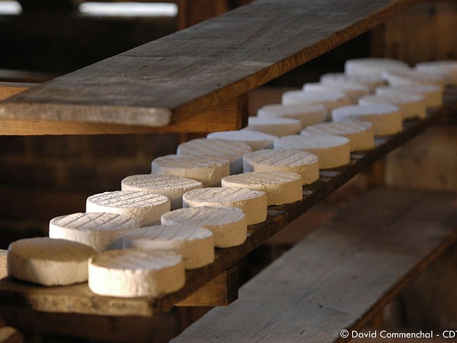 Maison du Camembert et fromagerie du Clos de Beaumoncel