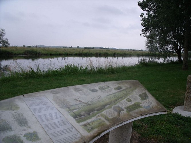 Le Communal du Grand Marais Cloucq