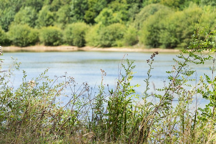 Le Domaine de l'Oiselière