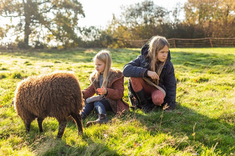 Le Domaine de l'Oiselière