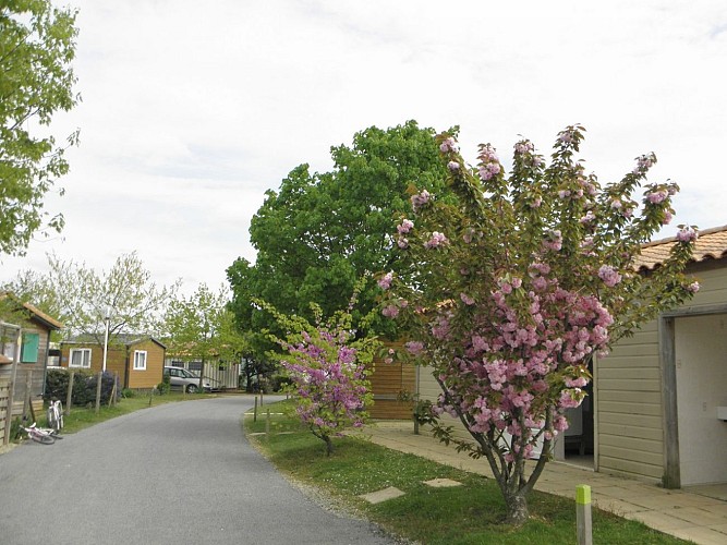 LA RÉSIDENCE DU LAC