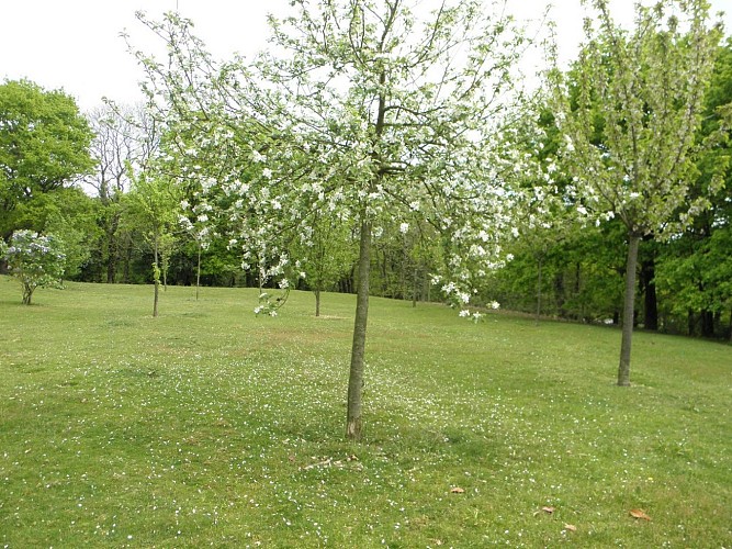 LA RÉSIDENCE DU LAC