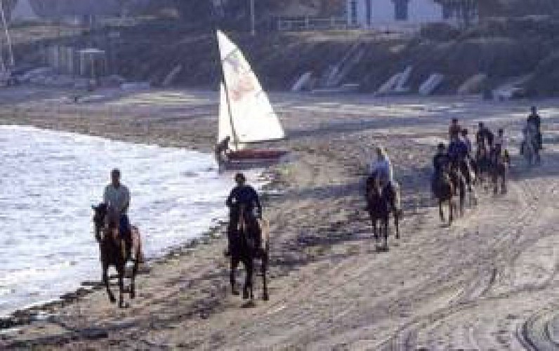 CENTRE EQUESTRE ET PONEY CLUB DU BEL AIR