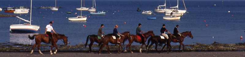 CENTRE EQUESTRE ET PONEY CLUB DU BEL AIR