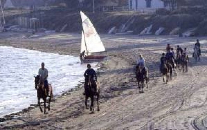 Centre Équestre et Poney Club du Bel Air