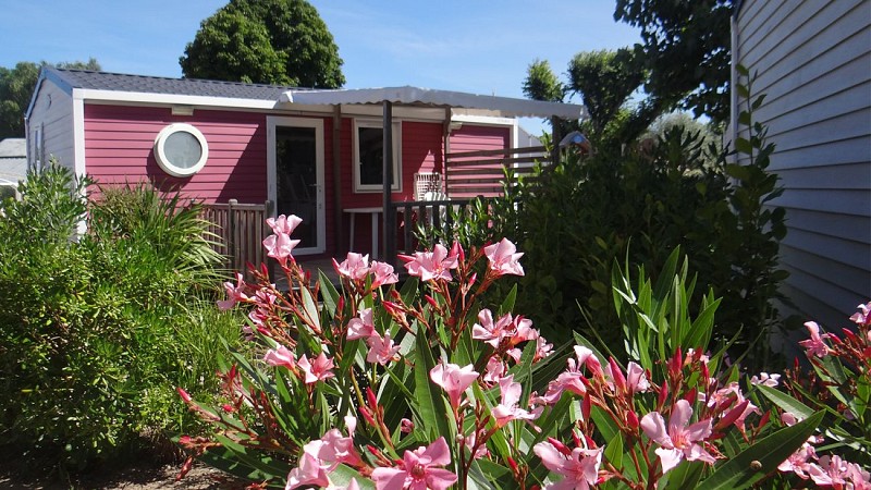 Camping Le Bois Verdon