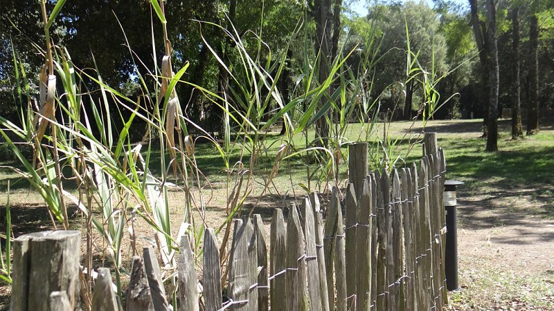 Camping Le Bois Verdon