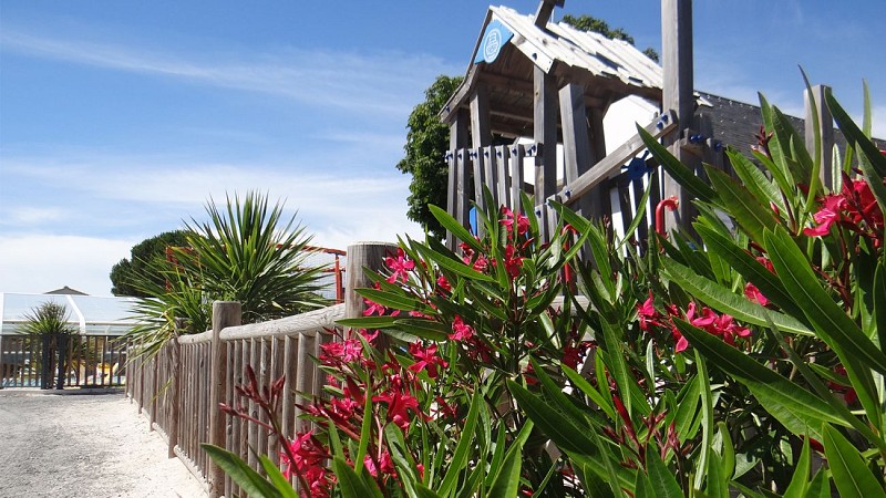 Camping Le Bois Verdon