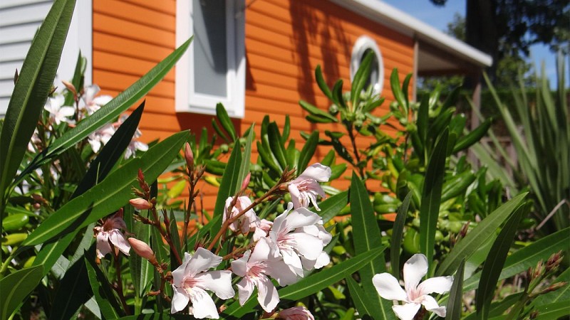 Camping Le Bois Verdon