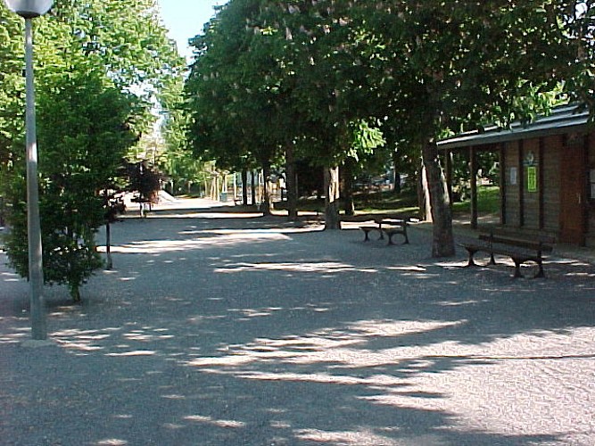 Bois du Pouliguen