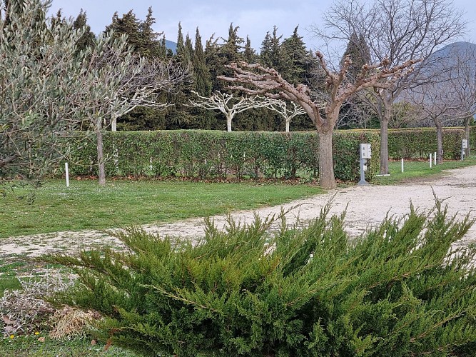 Camping à la Ferme les Cyprès