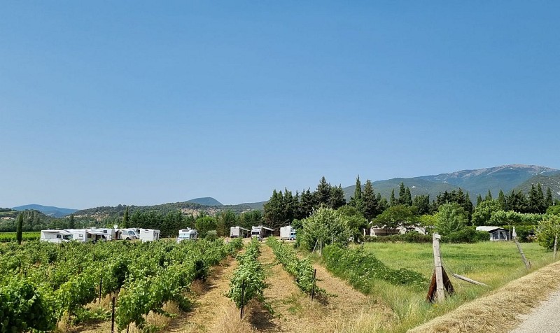Camping à la Ferme les Cyprès