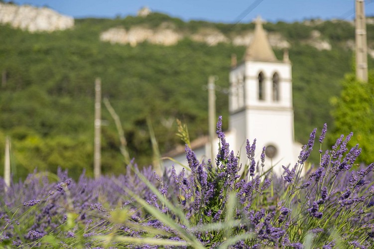 Camping Domaine Provençal