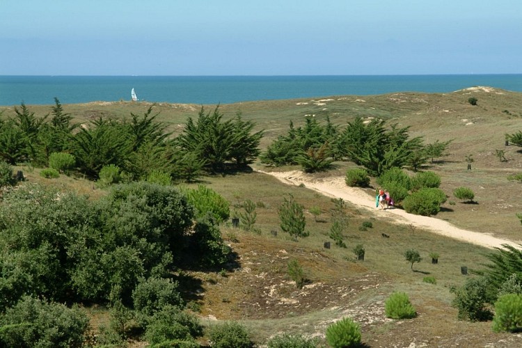 Camping La Parée du Jonc
