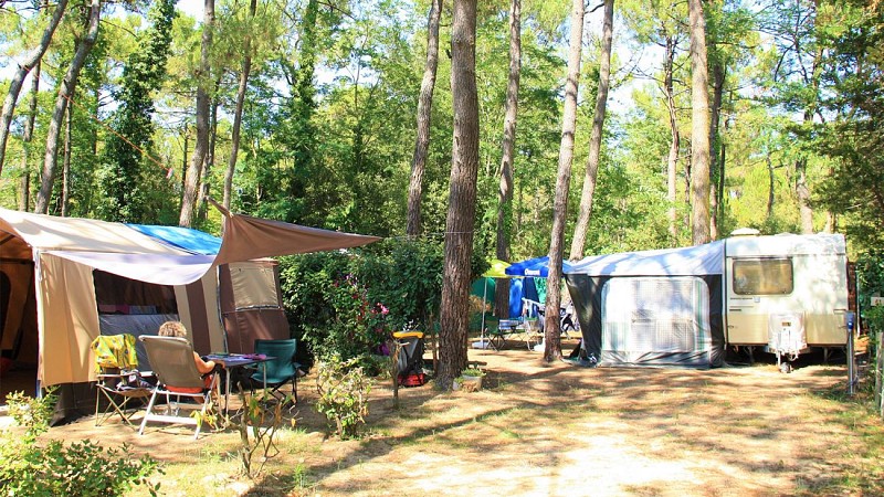 Camping Les Pinèdes de la Caillauderie