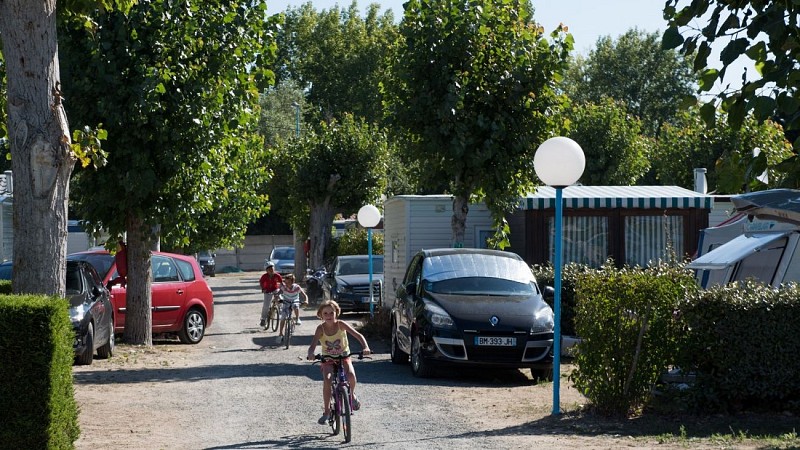 Camping Le Petit Bois