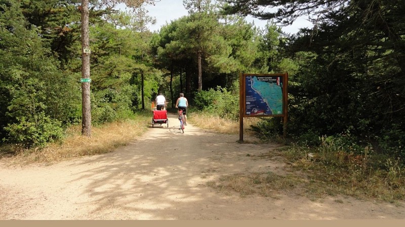 Camping Le Petit Bois