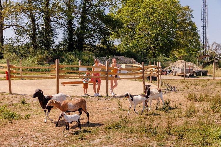Camping le Bois Joli Vendée **** Maeva Escapade