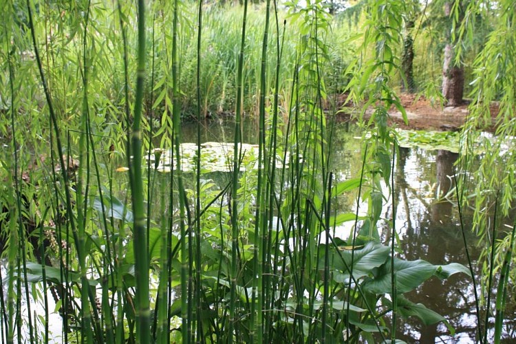 CHAMBRES D'HÔTES LA PERRUCHE SUR ERDRE