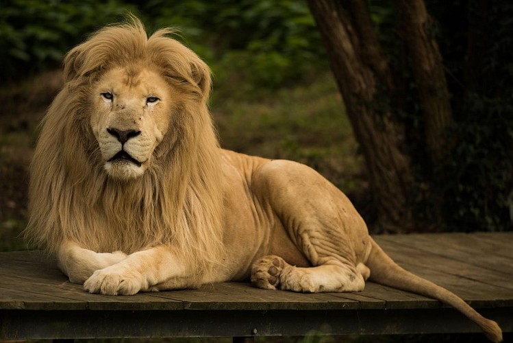 Le Refuge de l'Arche