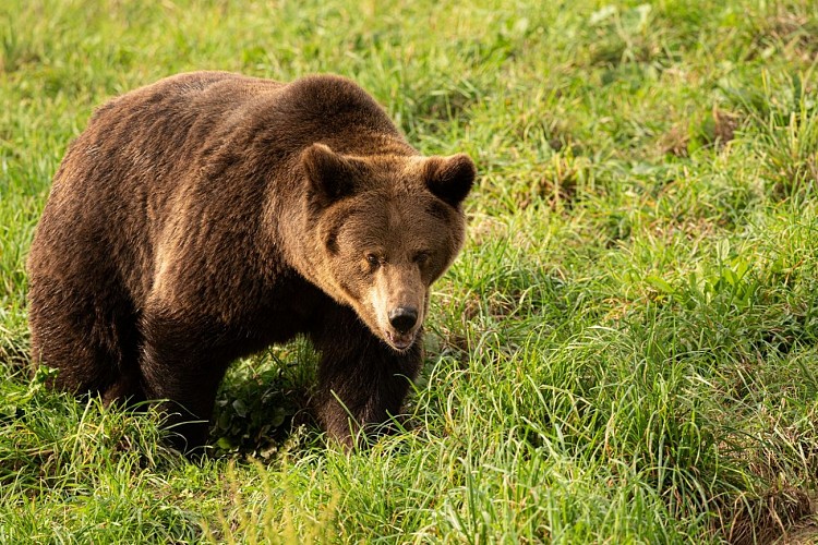Le Refuge de l'Arche