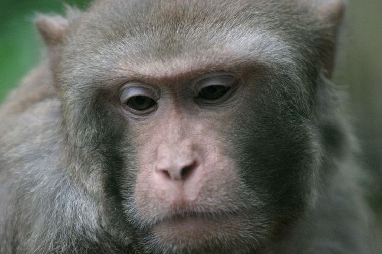 Le Refuge de l'Arche