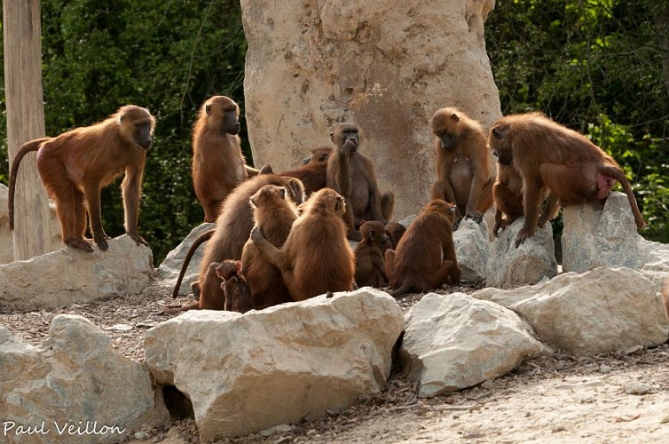 Le Refuge de l'Arche