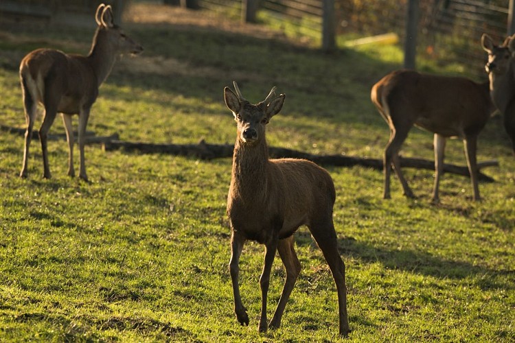 Le Refuge de l'Arche