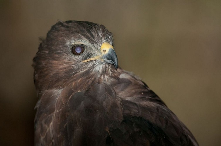 Le Refuge de l'Arche
